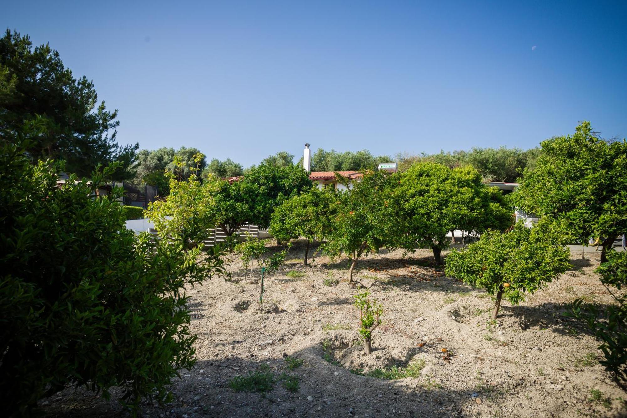 Villa Metochi Ρέθυμνο Εξωτερικό φωτογραφία
