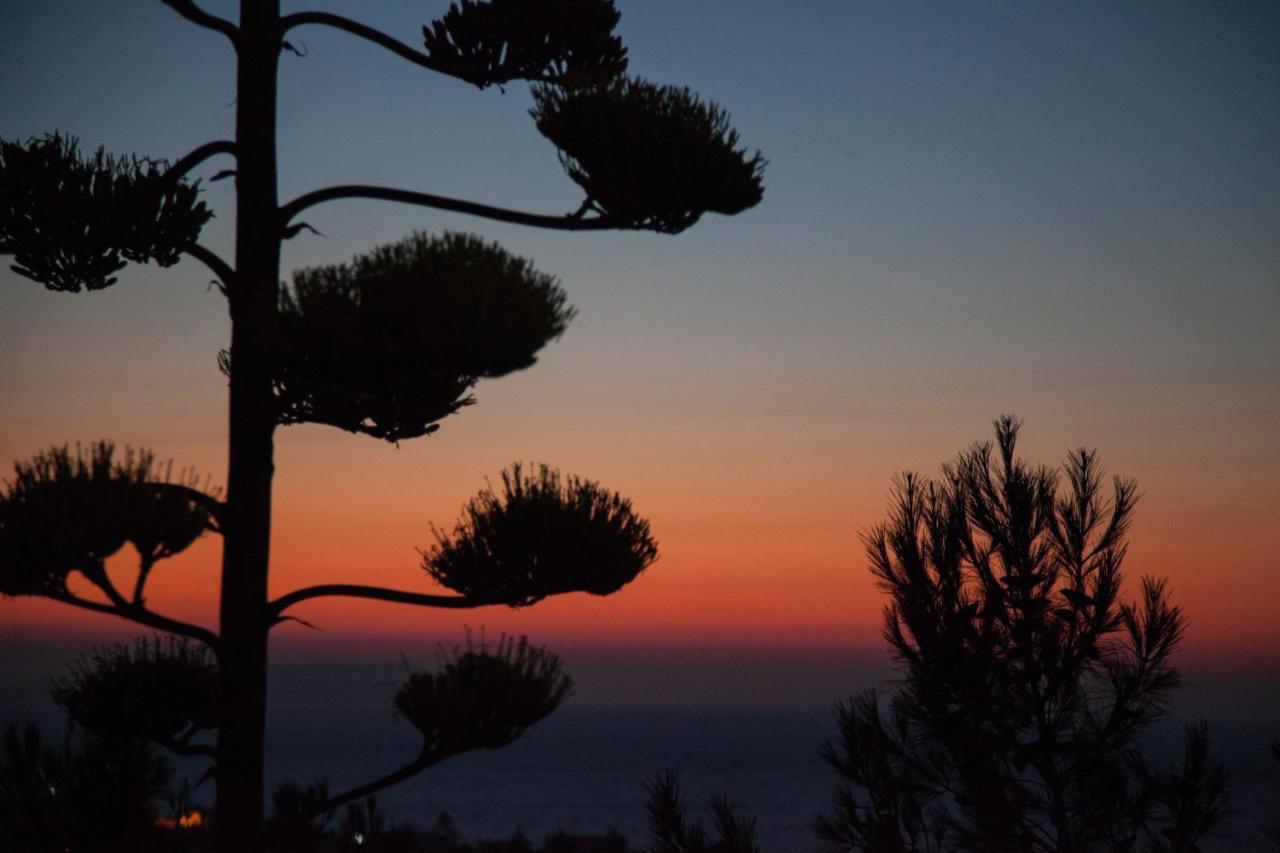 Villa Metochi Ρέθυμνο Εξωτερικό φωτογραφία